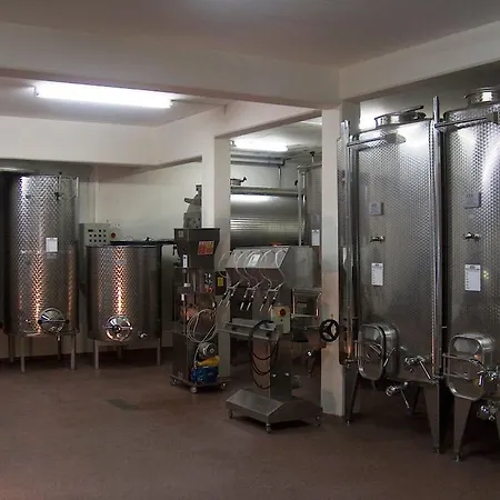 Agriturismo Cantina Carrara Gordola Exterior photo
